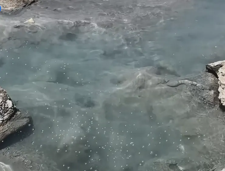 下方白色一點一點的，都是滾沸的氣泡