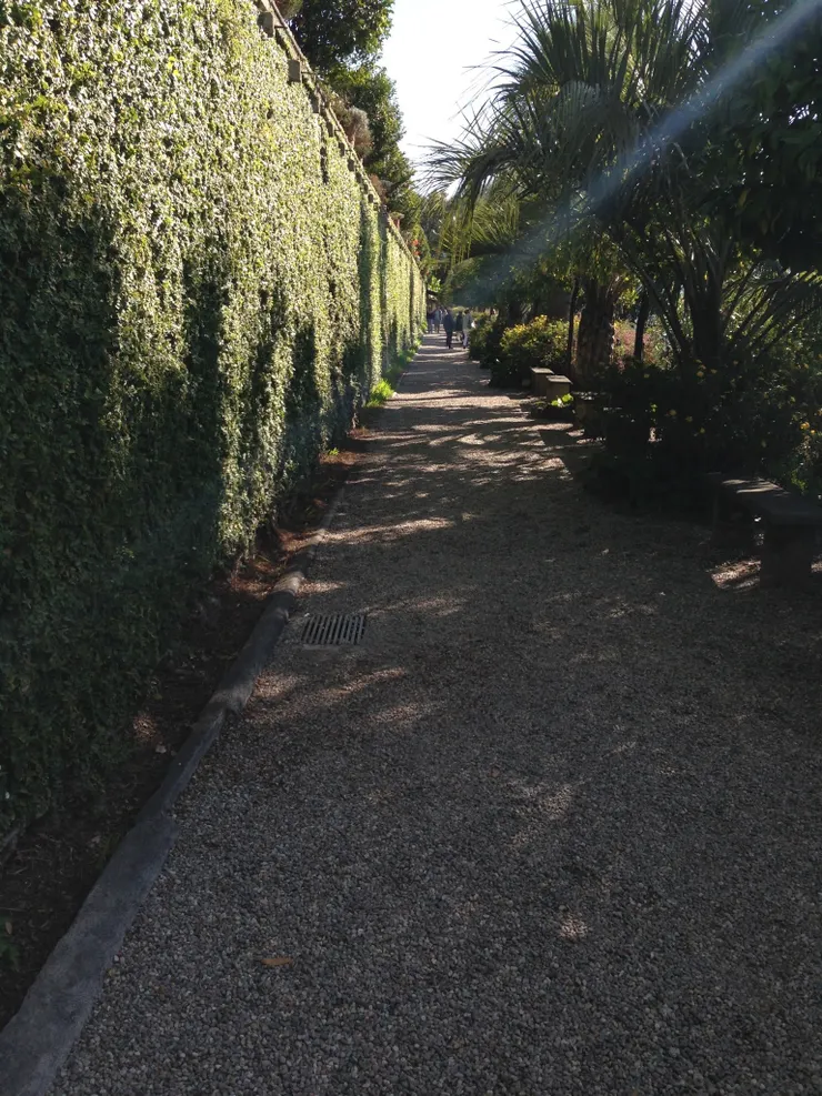 植物園