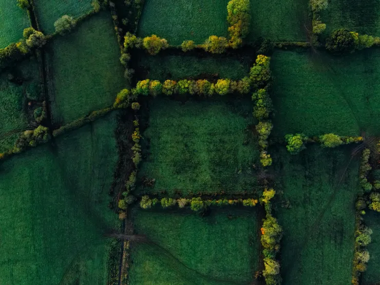 漢代《說文解字》提到：「己，中宮也，指萬物已成。」