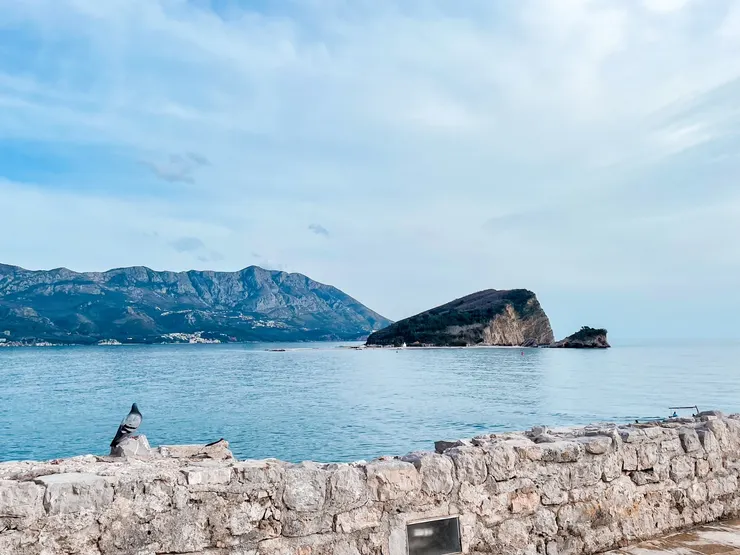 今天拍到最最喜歡的一張 "鴿子望海"，好可愛。我偷偷繞到他後面拍的，她都沒注意到喔。2024/02/28