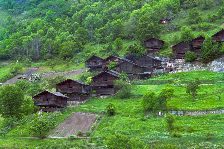 Photo by Walter Frehner on Unsplash