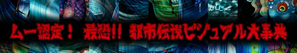 Taylor Amadeus的沙龍