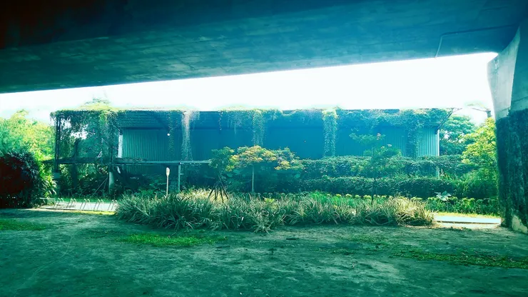 拍於2020年，單車國道一景，一棟看起像廢墟的工廠，今年還沒走到那邊去散步，體力變差了，不知道廢墟工廠還在嗎？