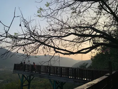 如何讓驚慌失措的鴕鳥，一秒平靜？