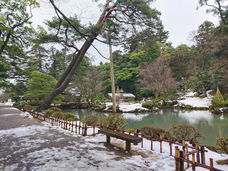 灑了白色糖霜的庭園更加分