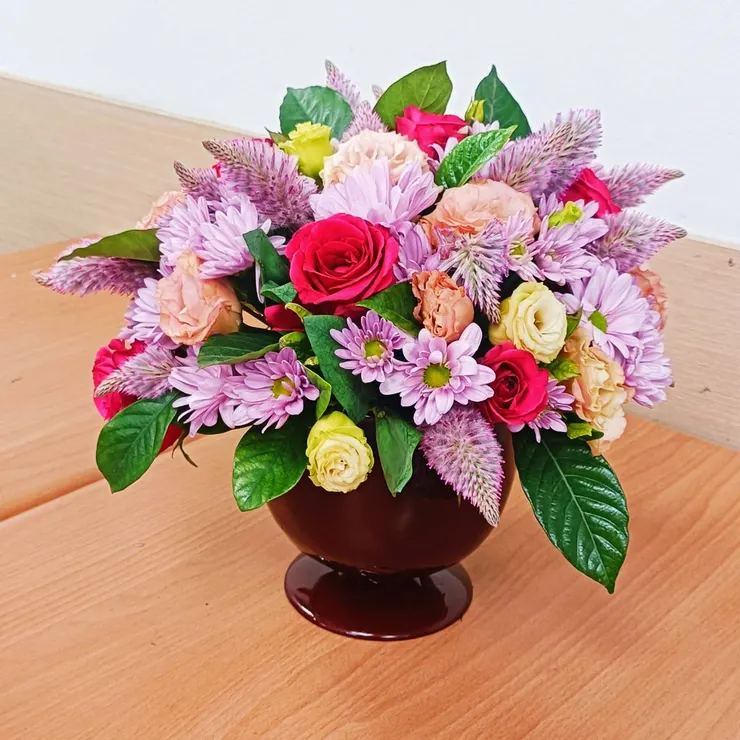 第一盆花-圓型花