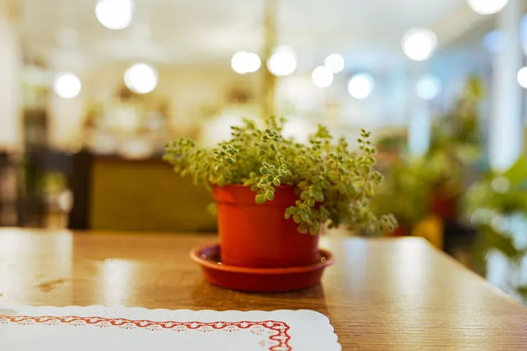 台東美食推薦😋/OA Restaurant 複合式餐廳:很Chill的背後,是一份用心🫂 #祝福花東🇹🇼 #義大利麵推薦 #肉醬 #焗烤麵包 #青醬 #我來開箱