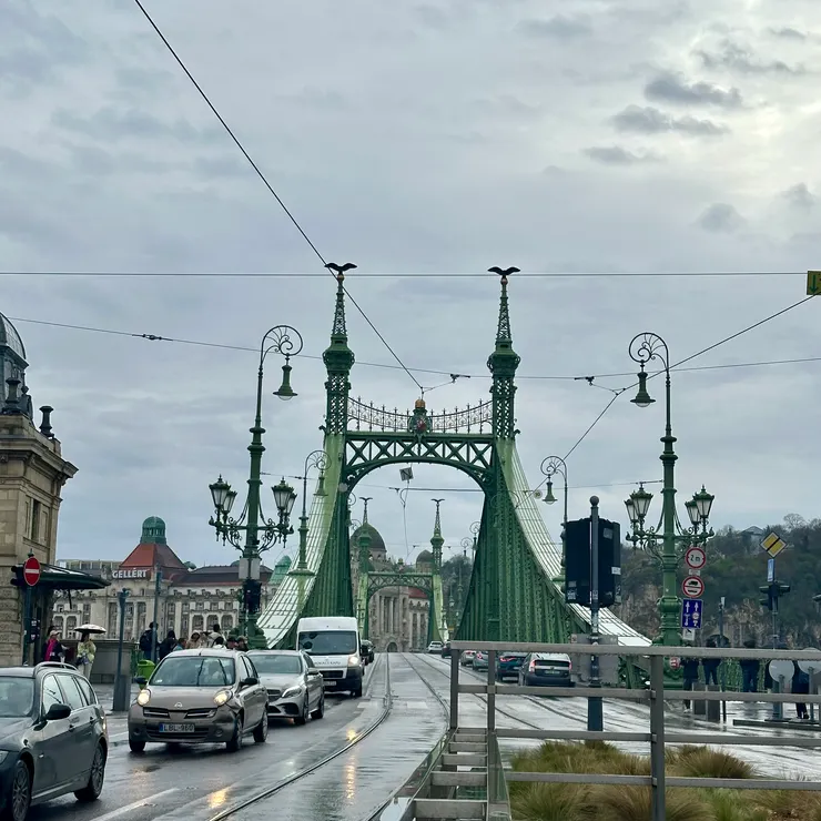 雨天的自由橋 Szabadság híd