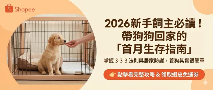 2026 新手養狗飼主必讀：帶狗狗回家的「首月生存指南」