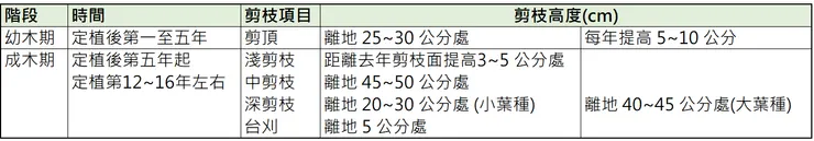 以上整理出自茶改場
