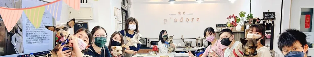 寵愛小編的沙龍