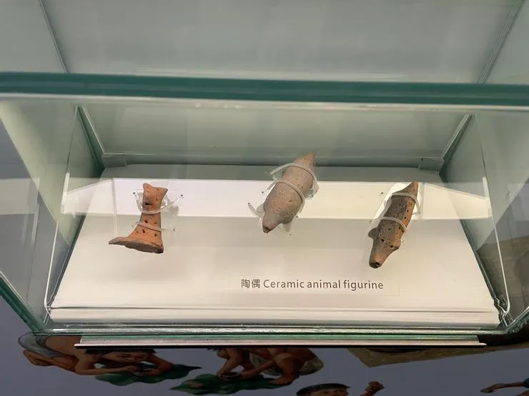 展示廳內出土遺物
