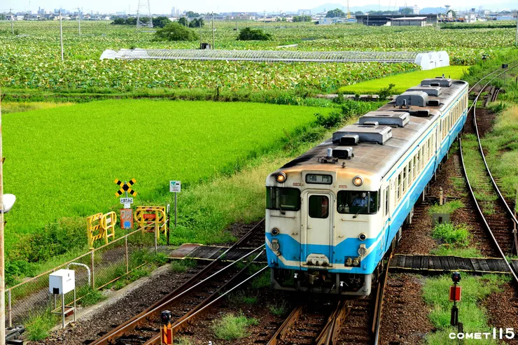 池谷站為高德線和鳴門線的分歧站，站內天橋就能捕捉火車通過分歧點的畫面
