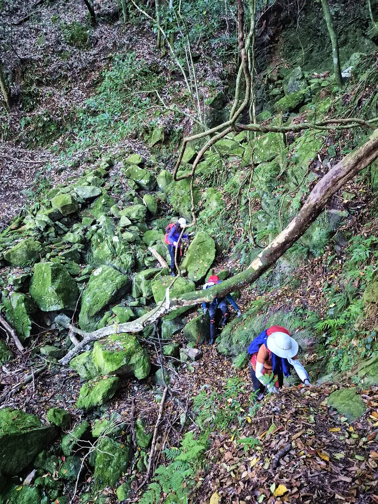 原本以為走舊鐵道較為輕鬆，殊不知此路線有多處塌方，要多次下切谷底再爬回步道，不比原路來回好走。