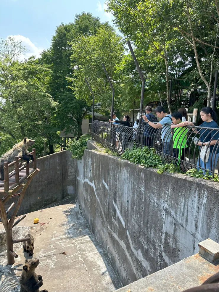 印象中以前可以丟蘋果