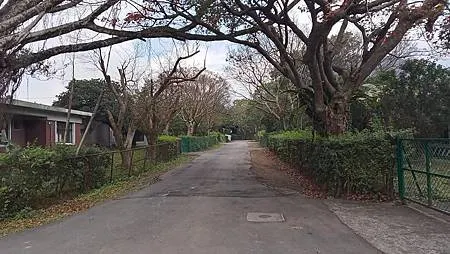 [台北旅遊]台灣唯一美國南方樣式建築群，走過國民外交的台灣近