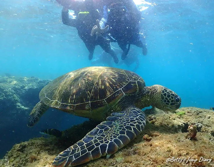 ▲2025屏東小琉球-浮潛、SUP/ 圖片來源：Betty's Jump Diary