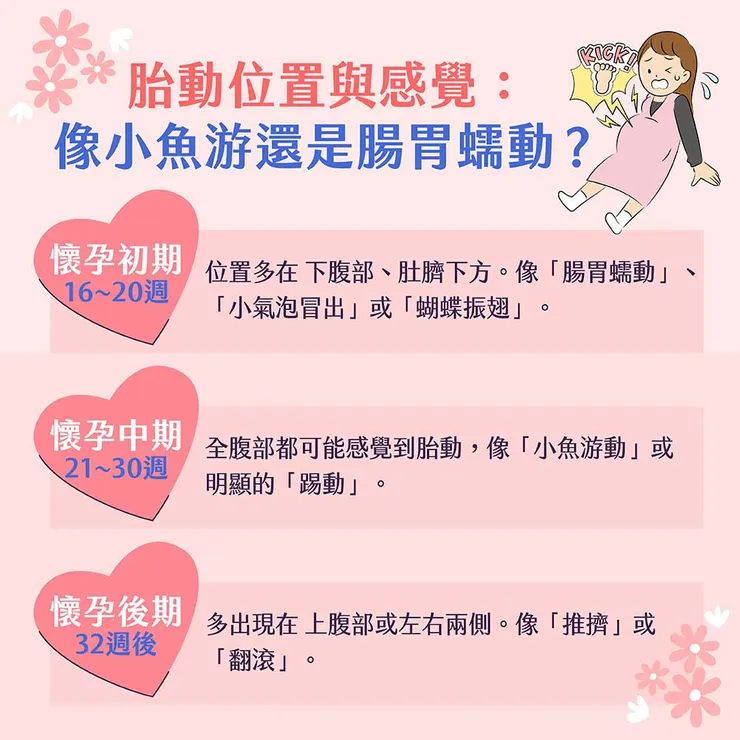 胎動位置與感覺