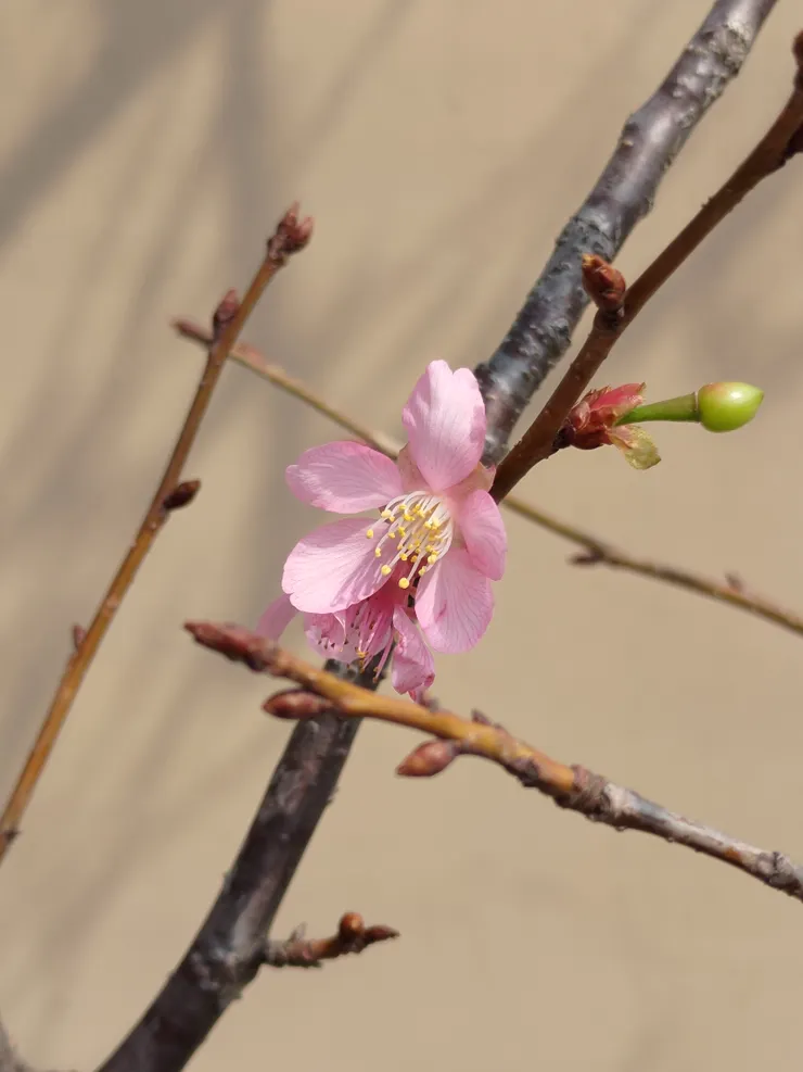 我最喜歡這張！得意作品❣️❤️