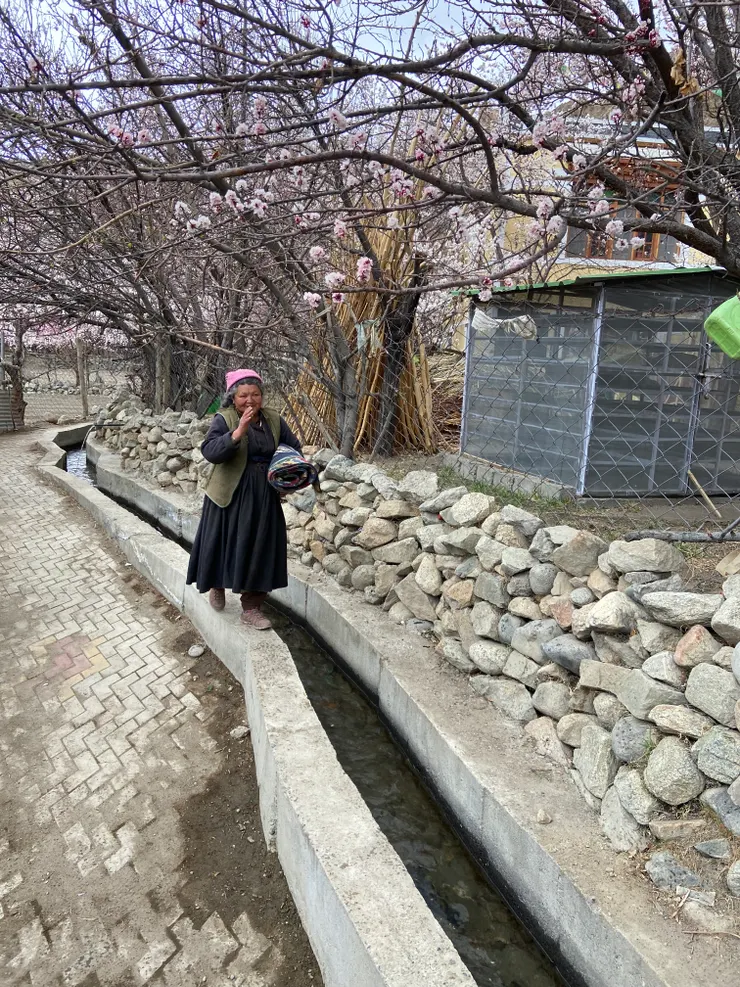 與往來熙攘的鄉村人民互道一聲Juley