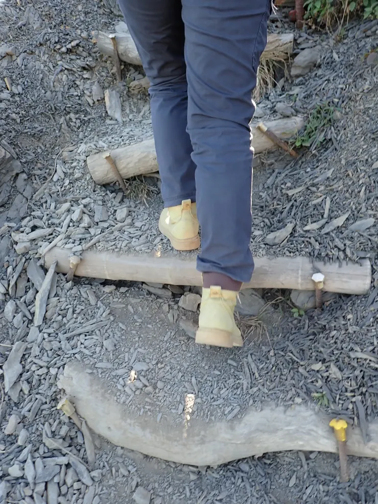 觀音鼻的階梯並不寬，多碎屑岩