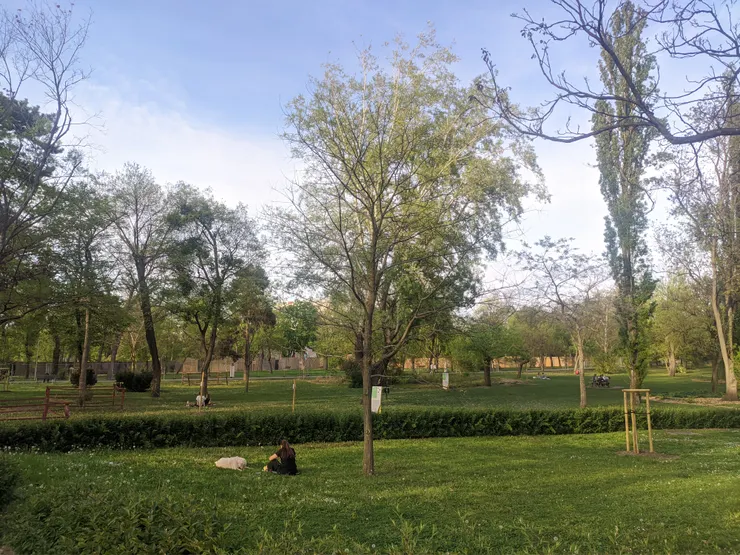 賽切尼溫泉浴場位於城市公園裡面的最左邊