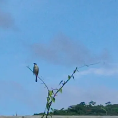 即使人生這條路遍佈阻礙，也總會迎來向出口暢行的一天吧？