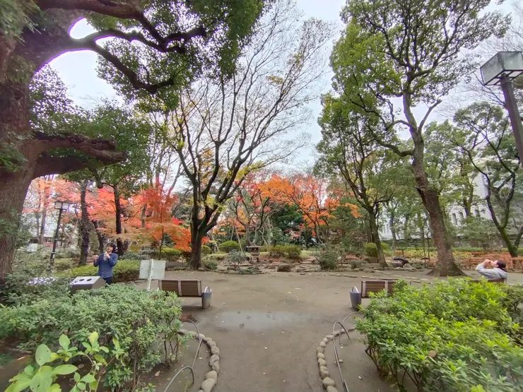 雨停了，公園給人清幽之感