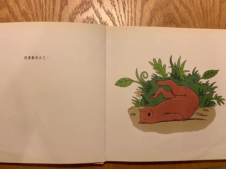 《這就是我》繪本