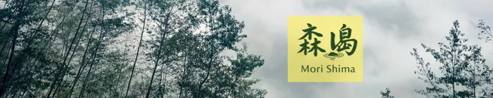 AMY WANG の森島 Mori Shima
