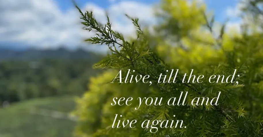 關係界限 ｜ 覺察