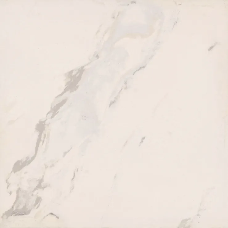 大理石紋(雪白銀狐) 圖片來源:東泰輝
