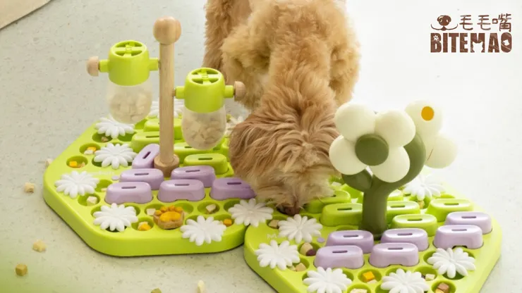 Dog playing with toys at home