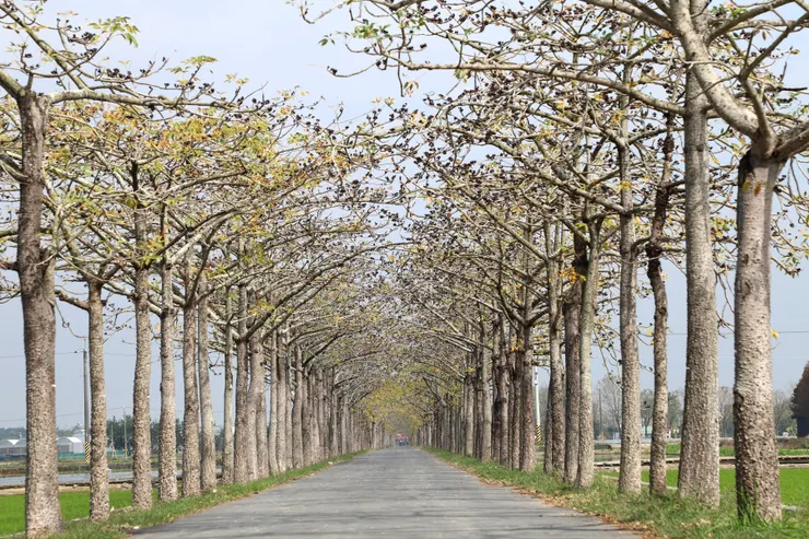 Photo by Robert Chen on Unsplash