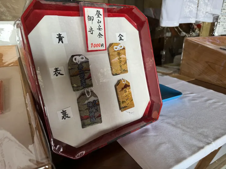 後來買了這青色的登山安全守