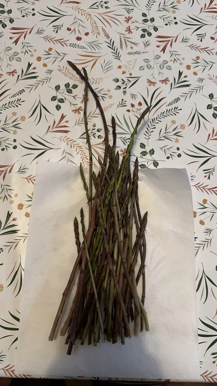 努力一個小時的成果