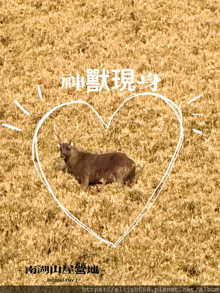 【帝王之山4天3夜】南湖大山雲海.聖稜線吃到飽之審馬陣山/南