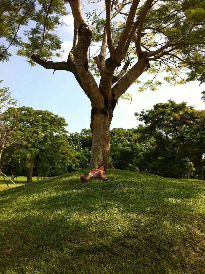 今天早上帶阿妮野餐完後，阿妮衝到一棵大樹下躺著看天空，突然驚喜地發現：咦？！樹上有一個風箏耶....