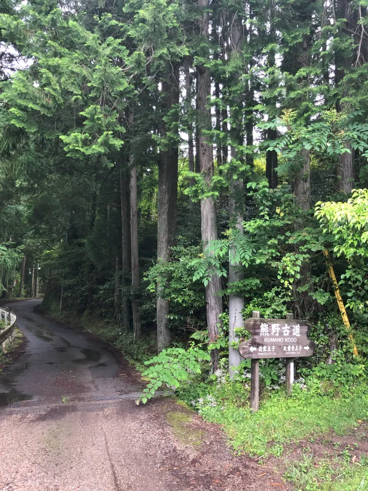 重返熊野古道入口處