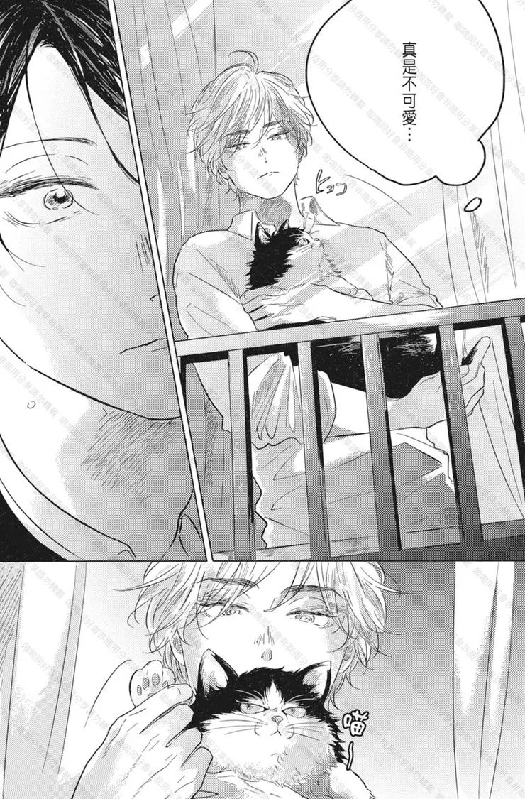 是反差傲嬌貓咪！