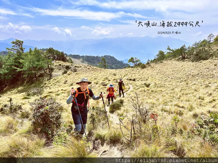 【丹大林道.六順山.七彩湖】六順山.海拔3009公尺/波波草