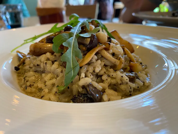 圖3：義大利牛肝菌綜合野菇松露燉飯。