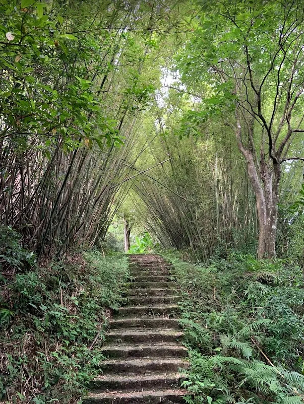 沿途有樹蔭遮蔽
