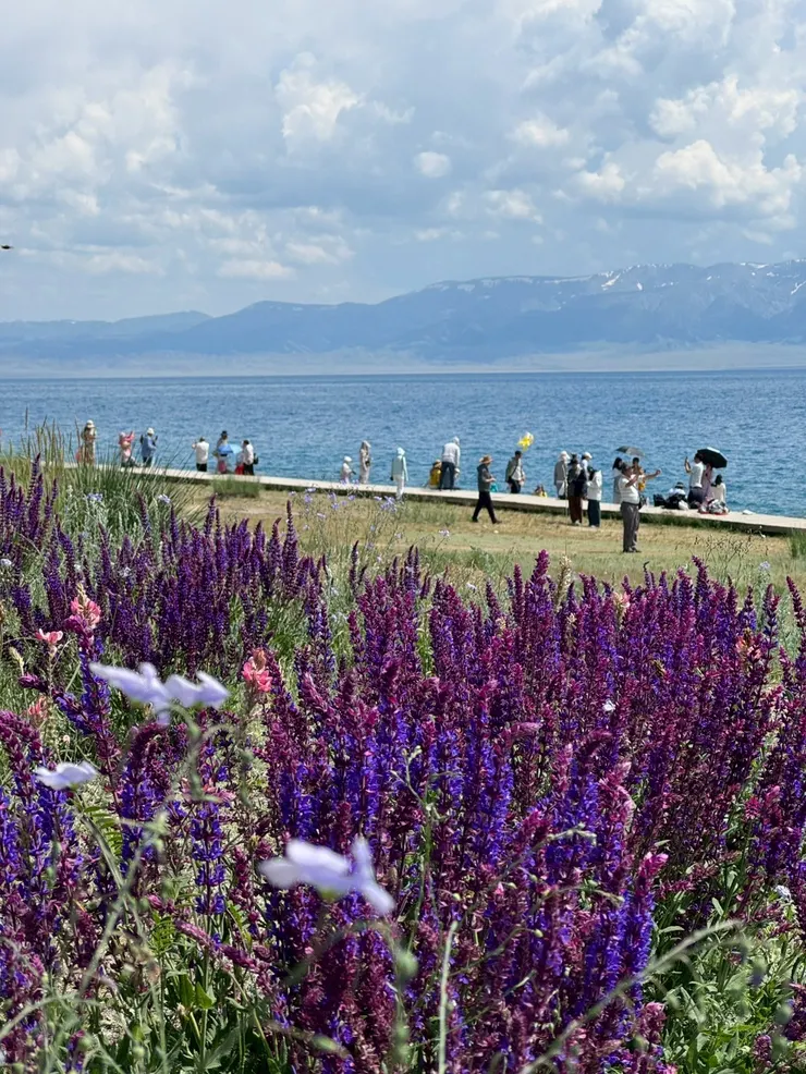「賽里木」蒙古語意為「祝福」,亦有說法為「儲水的盆地」,夏季湖邊野花遍地,聚集眾多攝影愛好者與網美