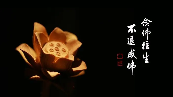 一向專念 阿彌陀佛 求生淨土