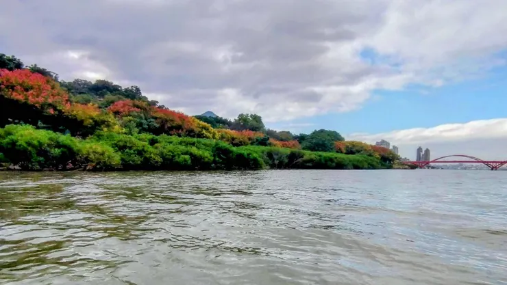八里左岸自行車道外