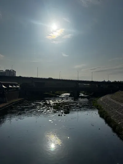 2026/02/25 運動日記_太陽與一小時的探險