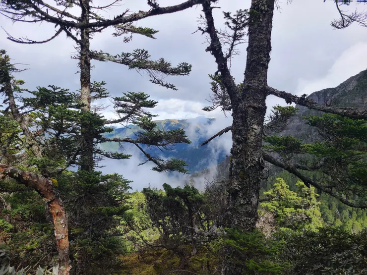 翠池網咖看風景