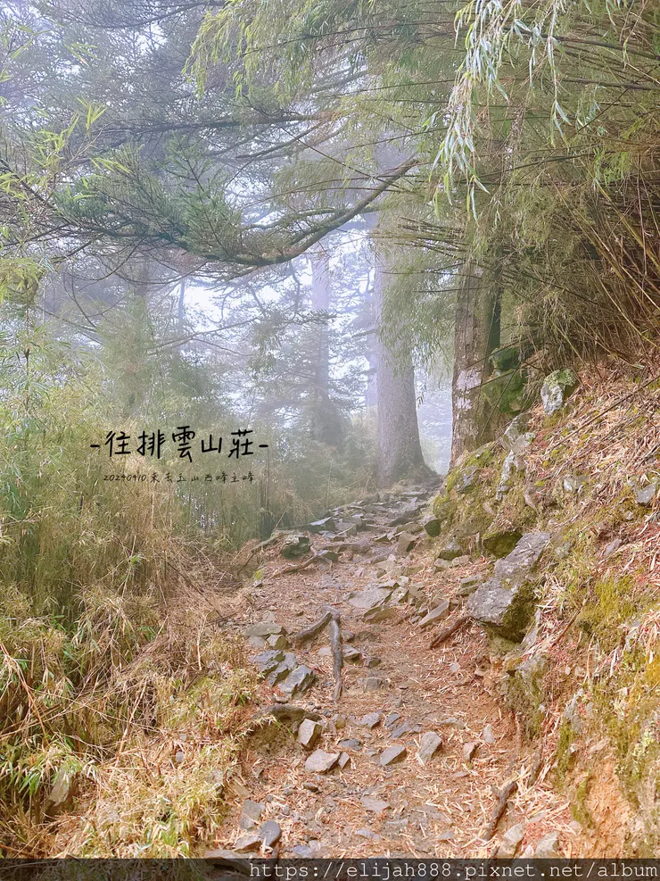 【玉山主峰西峰.兩天兩夜】南投縣信義鄉的望鄉部落艾度民宿/塔