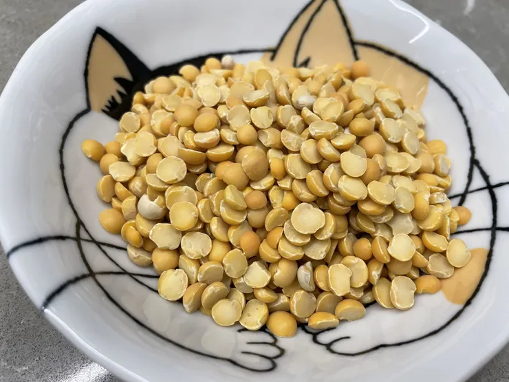 馬豆有著粟米的外觀（作者拍攝）